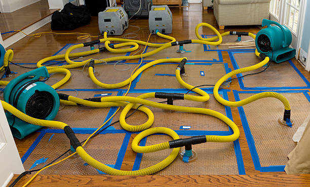 Professional Basement Flood Cleanup technician working in Richgrove, CA